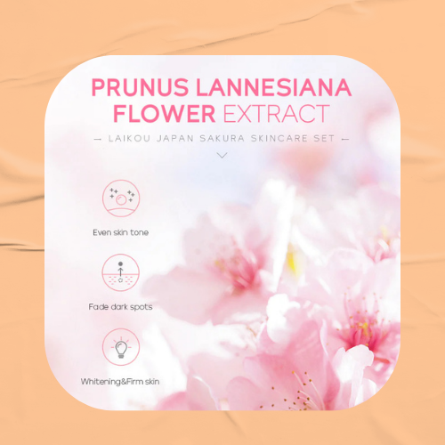 Japan Sakura cleanser Moisturizing Face Cream Skin Care Kit
